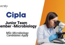 Latest MSc Microbiology Jobs at Cipla l Apply Now for Junior Team Member Role