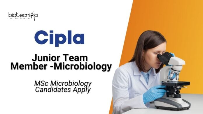 Latest MSc Microbiology Jobs at Cipla l Apply Now for Junior Team Member Role