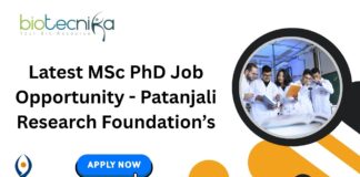 Latest MSc PhD Job Opportunity