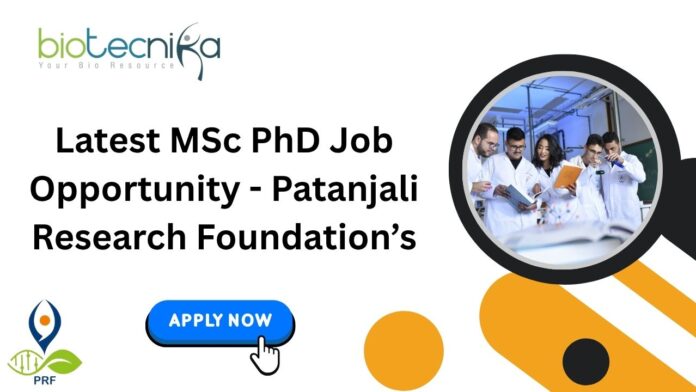 Latest MSc PhD Job Opportunity
