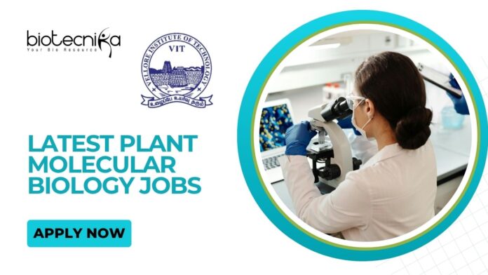 Latest Plant Molecular Biology Jobs at VIT Apply Now for Research Associate Position