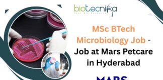 MSc BTech Microbiology Job