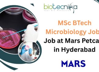 MSc BTech Microbiology Job