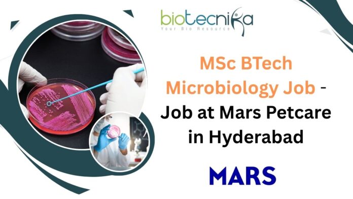 MSc BTech Microbiology Job