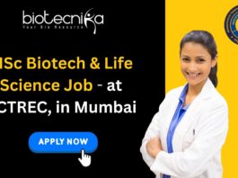 MSc Biotech & Life Science Job