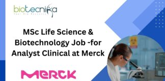 MSc Life Science & Biotechnology Job