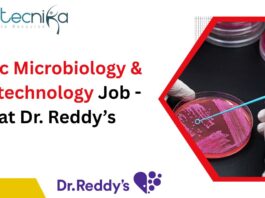 MSc Microbiology & Biotechnology Job (1)