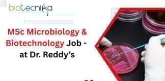 MSc Microbiology & Biotechnology Job (1)