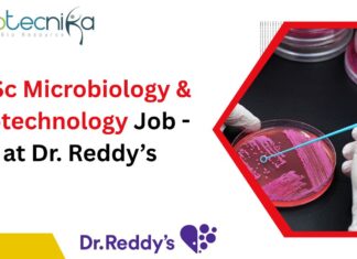 MSc Microbiology & Biotechnology Job (1)
