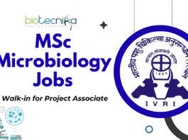 MSc Microbiology Jobs at ICAR-IVRI – Walk-in for Project Associate