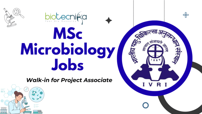 MSc Microbiology Jobs at ICAR-IVRI – Walk-in for Project Associate