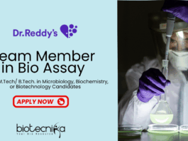 MSc/MTech Microbiology Job at Dr. Reddy's Laboratories -  Apply Now for the Team member Role