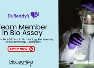 MSc/MTech Microbiology Job at Dr. Reddy's Laboratories -  Apply Now for the Team member Role