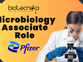 Microbiology Associate Role at Pfizer Vizag Apply Now (1)