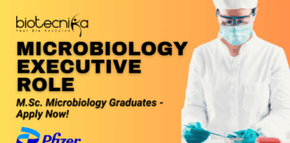 Microbiology Executive Role at Pfizer Vizag Apply Now