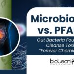 Microbiome vs. PFAS: Gut Bacteria Found to Cleanse Toxic “Forever Chemicals”