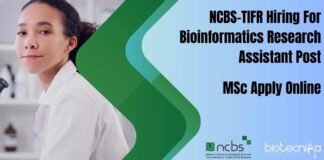 MSc Bioinformatics Research Job