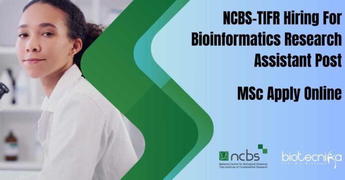 MSc Bioinformatics Research Job