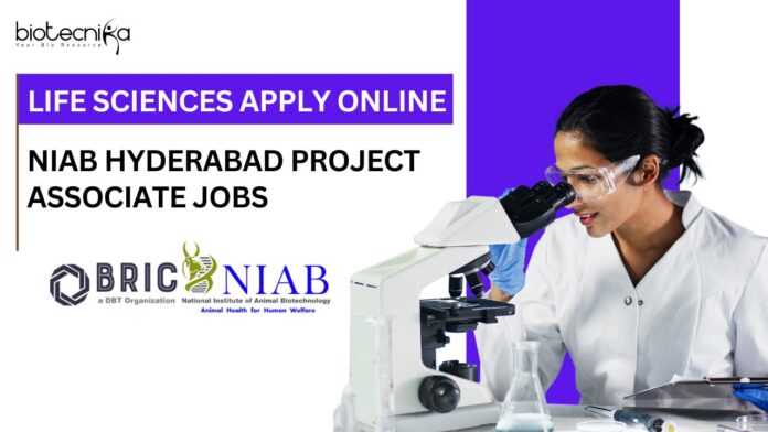 NIAB Hyderabad Project Associate Jobs | MSc Biotech Graduates Apply Now