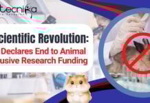 NIH Declares End to Animal-Exclusive Research Funding