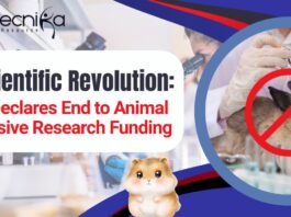 NIH Declares End to Animal-Exclusive Research Funding