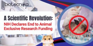 NIH Declares End to Animal-Exclusive Research Funding
