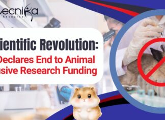 NIH Declares End to Animal-Exclusive Research Funding