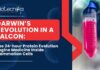 Darwin’s Revolution in a FALCON: The 24-hour Protein Evolution Engine Medicine Inside Mammalian Cells