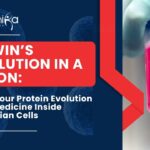Darwin’s Revolution in a FALCON: The 24-hour Protein Evolution Engine Medicine Inside Mammalian Cells