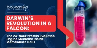 Darwin’s Revolution in a FALCON: The 24-hour Protein Evolution Engine Medicine Inside Mammalian Cells