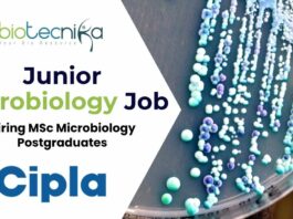 New Cipla Hiring MSc Microbiology Postgraduates