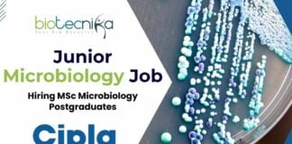 New Cipla Hiring MSc Microbiology Postgraduates