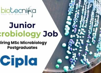 New Cipla Hiring MSc Microbiology Postgraduates
