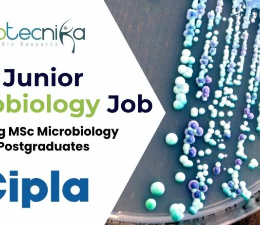 New Cipla Hiring MSc Microbiology Postgraduates