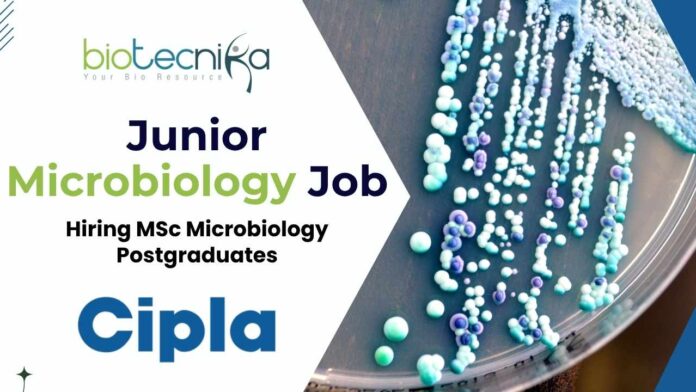 New Cipla Hiring MSc Microbiology Postgraduates