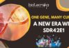 Cancer Treatment Revolution - SDR42E1 Gene Discovery