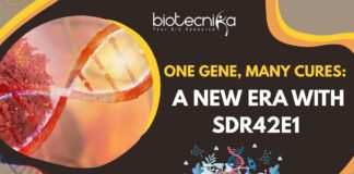 Cancer Treatment Revolution - SDR42E1 Gene Discovery