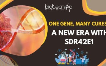 Cancer Treatment Revolution - SDR42E1 Gene Discovery