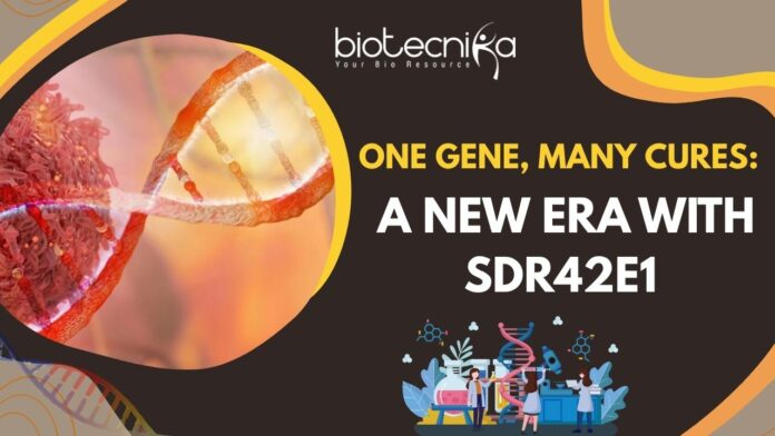 Cancer Treatment Revolution - SDR42E1 Gene Discovery