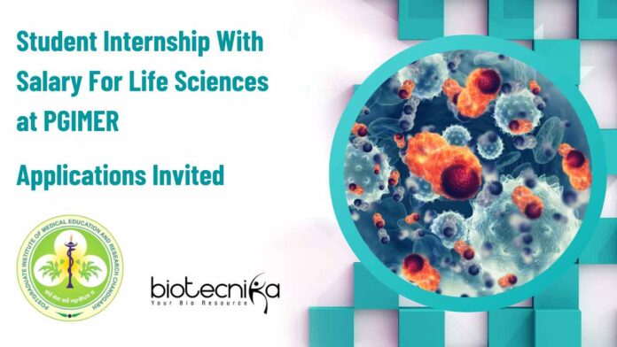 Latest MSc Microbiology Internships