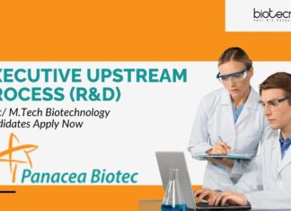 Panacea Biotec Executive Upstream Process (R&D) Job – M.Sc/ M.Tech Biotechnology Candidates Apply Now