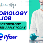 Pfizer Associate Microbiology Job MSc Microbiology Candidates