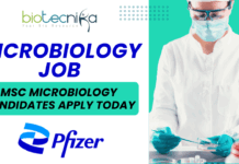 Pfizer Associate Microbiology Job MSc Microbiology Candidates