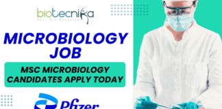 Pfizer Associate Microbiology Job MSc Microbiology Candidates