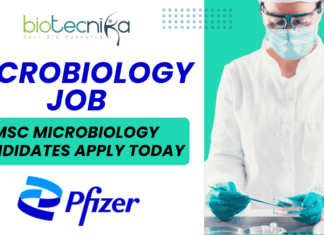 Pfizer Associate Microbiology Job MSc Microbiology Candidates