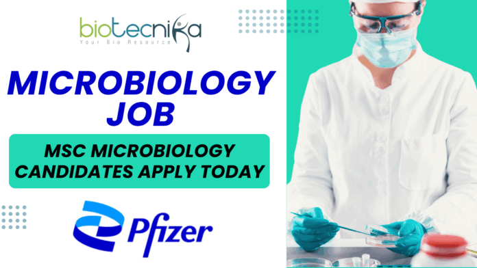 Pfizer Associate Microbiology Job MSc Microbiology Candidates