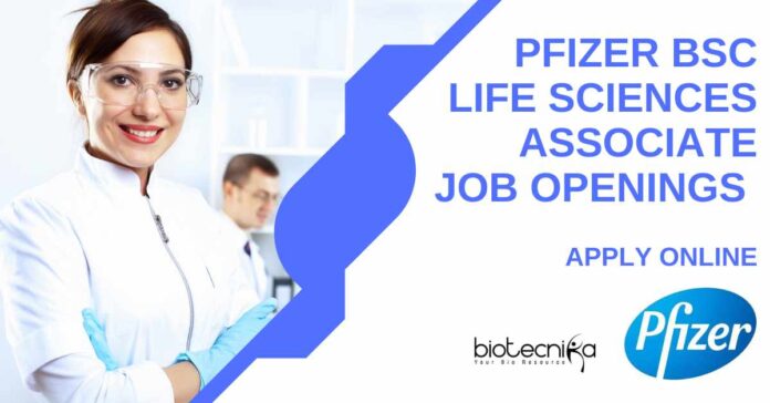 BSc Life Science Vacancies Latest at Pfizer