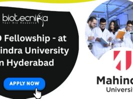 PhD Fellowship - at Mahindra University