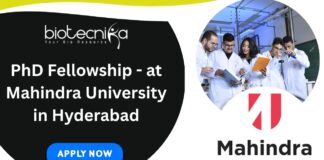PhD Fellowship - at Mahindra University