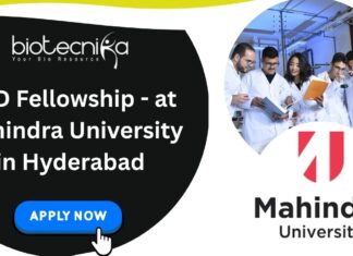 PhD Fellowship - at Mahindra University